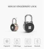 PORTABLE FINGERPRINT SMART LOCK