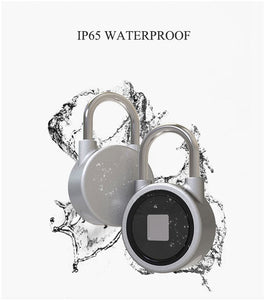 PORTABLE FINGERPRINT SMART LOCK